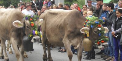 Evropská dobrovolná služba ve Vorarlberku (západní Rakousko)