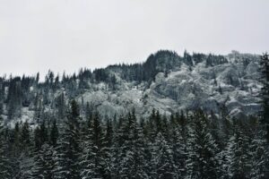 Slovensko zimní dovolená - cestovní kanceláře