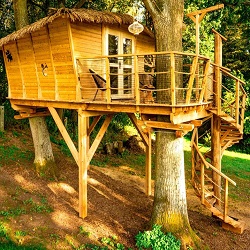 Treehouse Jenda - glamping jižní čechy