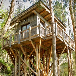 Treehouse Sokolí - glamping vysočina