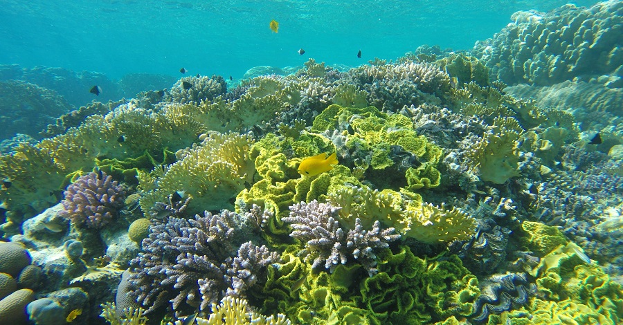 O Marsa Alam