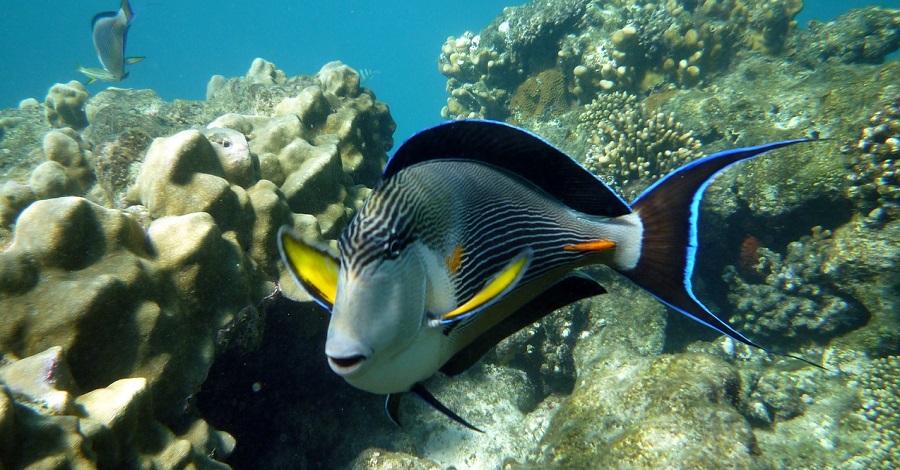 Sportovní aktivity Marsa Alam